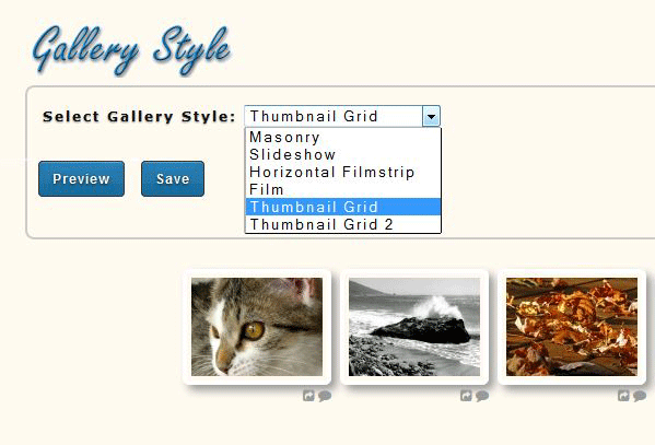 NextGen Gallery Plugin Interface